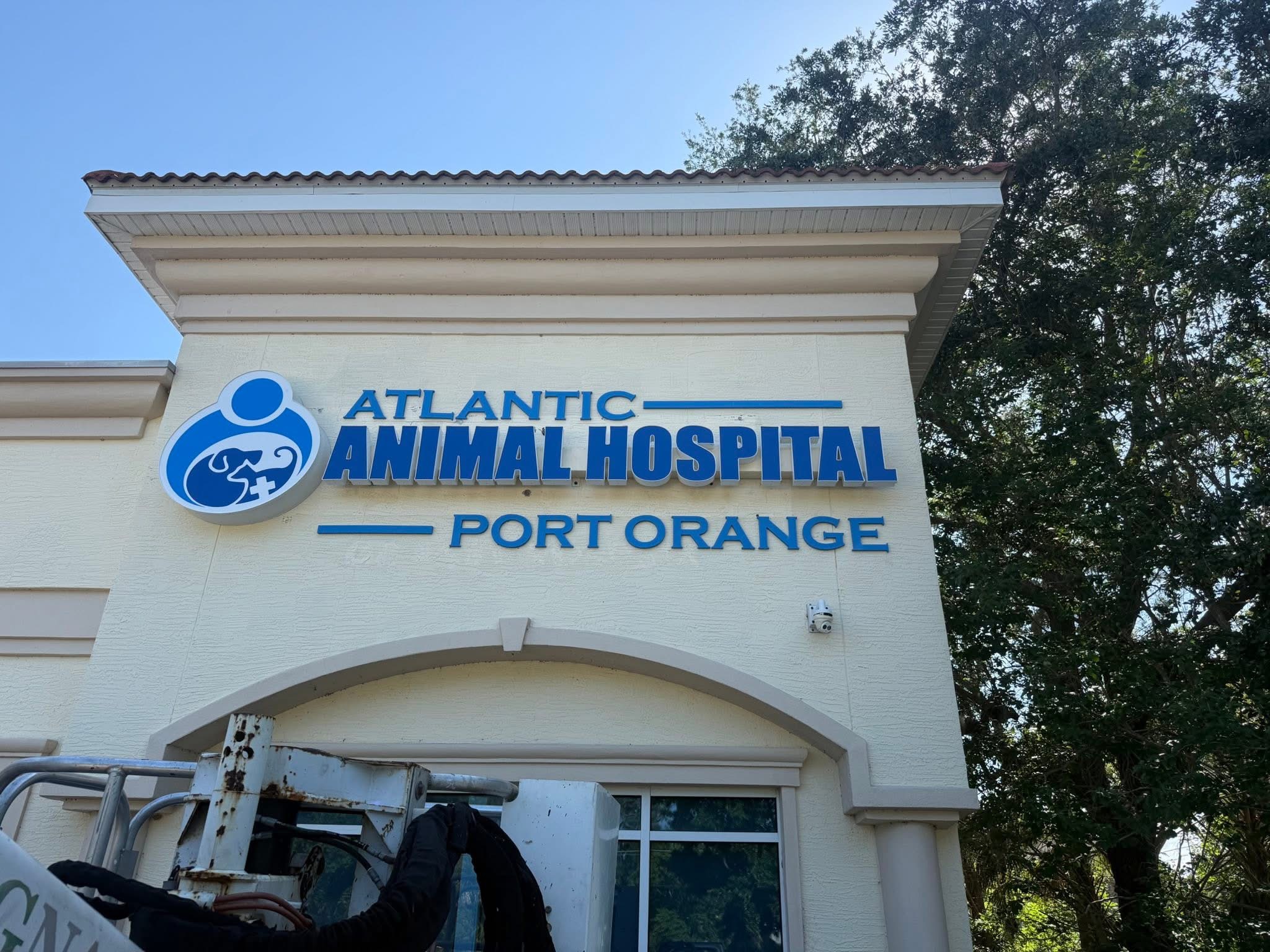 Atlantic Animal Hospital Port Orange channel letters